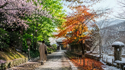 なぜ日本人は“季節の変化”に敏感なのか──四季が作った感性の正体