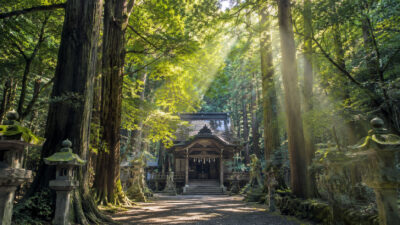 鎮守の森とは何か