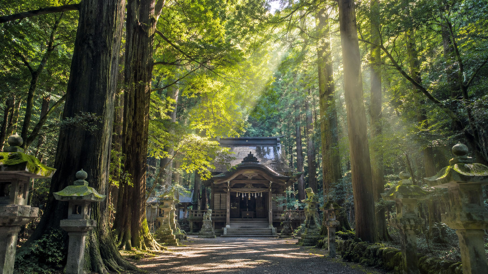 鎮守の森とは何か？神社と自然が共生する日本文化の原点