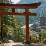 神道と仏教は何が違うのか