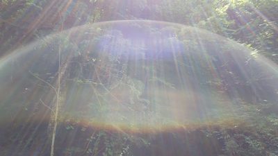 分杭峠に現れた「気のカーテン」──ゼロ磁場で感じられる不思議な力